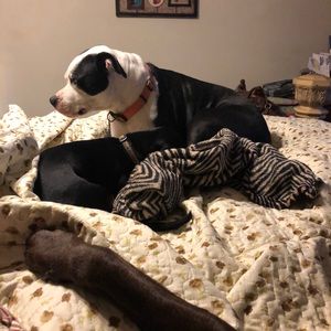 Meet your Posher, Sue